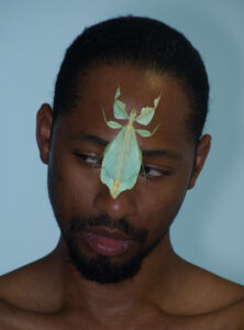 A person with short, dark hair looks downwards with an unusual leaf-like insect resting on their forehead. The insect’s shape mimics a green leaf with delicate veins and edges, blending naturally against the smooth, brown skin. The person's expression is calm and contemplative, creating a striking contrast between natural and human elements in a minimalist setting.