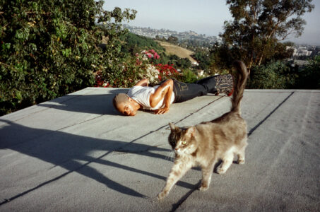 A person lies on their stomach on a flat surface, surrounded by greenery and a distant urban view. They wear a white shirt and patterned jeans, with a shaved head. In the foreground, a fluffy cat walks across, casting a shadow. The scene is set outdoors, beneath a clear sky, with vibrant plant life adding color.