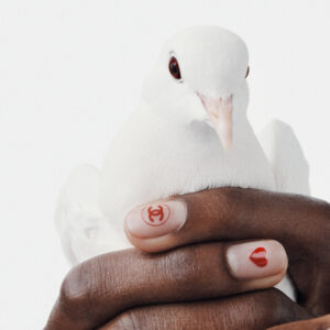A gentle white dove is cradled in cupped hands with polished nails. The bird's feathers are soft and pristine, contrasting with the deep skin tone of the hands. The nails display intricate designs, featuring tiny red motifs. The overall composition conveys a sense of tenderness and harmony, highlighting the delicate interaction between the dove and the protective hold.