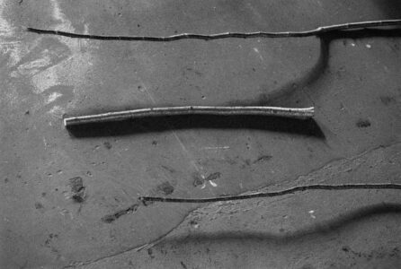 Three long, slender sticks are laid out horizontally across a textured, rough surface. The background displays subtle shadows and markings, suggesting a worn and possibly industrial environment. The sticks are varied in their thickness and texture, adding to the composition's complexity. The monochrome appearance emphasizes the contrasting tones and shadows, creating a stark yet intriguing visual effect.