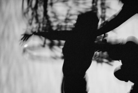 Shadowy figures dance gracefully against a textured background, creating an abstract, dreamlike scene. The silhouettes are elongated and fluid, with outstretched arms suggesting movement and grace. The interplay of light and dark forms a mysterious atmosphere, evoking emotions and inviting interpretation. The overall composition is dynamic, with blurred lines adding to the sense of ethereal motion.