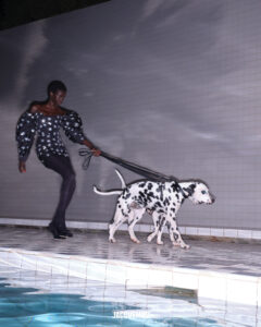 A person strides confidently beside a pool, dressed in a striking, polka-dotted outfit that matches the pattern of the Dalmatian dog they are walking. The scene is set against a tiled backdrop, with the water providing a reflective surface that enhances the overall effect of elegance and cohesion between the individual and the animal.