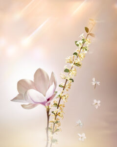 A delicate magnolia blossom with soft pink and white petals stands prominently beside a slender branch adorned with small, yellow blossoms and green leaves. The background is a gentle, warm gradient with subtle light streaks, creating a serene and dreamy atmosphere. Small, light-colored flowers appear to float gracefully in the surrounding space.