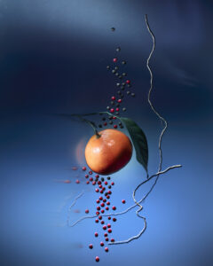 A vibrant composition features an orange citrus fruit suspended against a soft blue background. A green leaf is attached to it, and delicate peppercorns cascade around, creating a dynamic sense of movement. Twisting, slender twigs add an abstract element, contrasting with the spherical shapes. The overall scene conveys a harmonious balance of colors and forms.