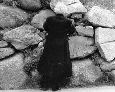 A person with white hair is seen from behind, wearing a dark, long coat, standing against a stone wall. The wall consists of large, irregularly shaped rocks with small plants growing between them. The overall setting appears natural, with a patch of grass visible at the top. The scene suggests a quiet, contemplative moment.