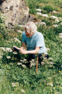 A person with white hair, wearing glasses and a light blue shirt, is crouched in a lush green field filled with wildflowers and ferns. They are holding a smartphone, seemingly taking a picture. There's a large, lichen-covered rock in the background, enhancing the natural setting, and the scene conveys a peaceful, contemplative atmosphere.