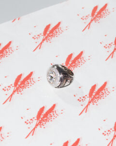 A large, ornate ring with a central, clear gemstone is displayed on a surface adorned with a repeated pattern of stylized, red plant motifs. The ring is silver-toned with intricate details, featuring smaller stones surrounding the central gem. The pattern beneath consists of pairs of red leaves and clusters of dots, creating an elegant, artistic backdrop.