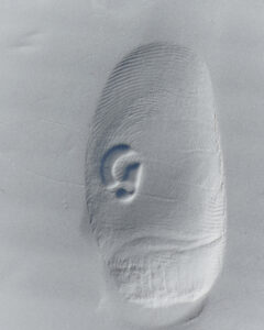 The close-up view reveals a textured surface, resembling a fingerprint, with intricate lines and patterns. Dominating the scene is a notable depression in the shape of an ear. The play of light and shadow gives a three-dimensional feel to the object, highlighting its curves and contours on the smooth background.