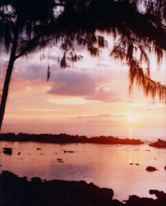 A serene scene unfolds as the sun dips near the horizon, casting warm hues of pink and orange across the sky and water. Silhouetted tree branches drape gracefully overhead, while scattered rocks emerge from the reflective surface below. The tranquil ocean stretches towards the horizon, blending seamlessly with the soft, colorful sky in this peaceful moment.