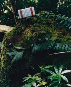 A sleek, metallic case with brown straps rests atop a moss-covered tree stump in a lush, green forest environment. Vivid green ferns and leaves surround the base, creating a dense and vibrant jungle atmosphere. The soft natural light filtering through the foliage casts gentle shadows, enhancing the tranquil and untouched beauty of the serene setting.