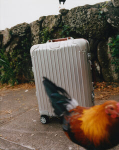 A sleek, silver suitcase with a glossy finish rests on a stone pavement, adorned with four small wheels. In the background, a rustic stone wall is partially covered with lush green foliage. A colorful rooster, featuring vibrant red, orange, and black plumage, struts in the foreground, adding dynamic contrast to the scene.