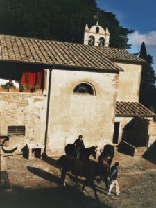 An aged, sunlit building with a tiled roof stands against a backdrop of lush trees under a vivid blue sky. A bell tower is visible, with two statuesque horses led by individuals in riding attire crossing the cobblestone courtyard. Red curtains and potted plants adorn the windows, creating a picturesque, rustic scene full of charm and history.
