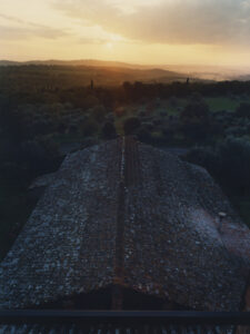 A serene landscape unfolds as the sun sets, casting a warm glow over rolling hills and dense groves. The horizon is adorned with a blend of orange and purple hues. A rustic structure with a weathered roof is in the foreground, enhancing the scene's tranquility. Shadows drape the landscape, adding depth to the picturesque vista.