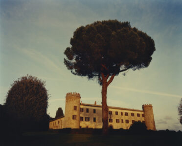 A historic building with towers sits against a pastel sky, bathed in warm light. The structure has a series of windows across its façade. A prominent tree with a thick trunk and lush foliage stands in the foreground. Another rounded tree is nearby, and the scenery is set on a well-kept lawn, evoking a sense of tranquility.