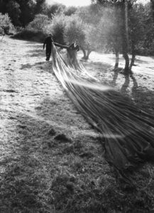 Sunlight filters through trees casting long shadows over a grassy field. Two individuals work together, each holding an end of a large, textured cloth spread across the ground. The area appears serene, surrounded by trees and foliage, creating a tranquil, rural atmosphere. The interplay of light and shadow adds depth and contrast, enhancing the scene's calmness.
