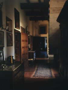 A dimly lit, narrow corridor features wooden doors and furniture with a vintage style. Framed paintings and photographs adorn the walls. A patterned rug runs along the polished wooden floor, leading deeper into greenery illuminated by light streaming through an unseen source. The ambiance feels historic and cozy, with shadows hinting at a warm, quiet setting.