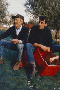 Two men are seated outdoors in a grove, surrounded by olive trees. An older man in a cap sits beside a younger man, both dressed casually. They rest on red crates filled with olives, placed over a green net on the ground. A horse grazes in the background, adding to this serene agricultural setting.