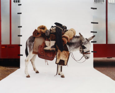 A donkey stands against a white background, laden with various items. On its back are rolled blankets, a pair of boots, a backpack, and other camping gear. The scene is framed by sections of a red and silver trailer on either side, lending a sense of an outdoor or travel theme. The donkey appears calm and steady.