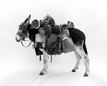 A donkey stands sideways, laden with numerous rolled blankets and fabric bundles strapped on its back. Leather bags hang from its sides, adding to its burden. The animal wears a bridle, and its ears are perked up. The monochrome setting highlights the texture of the donkey's fur and the materials it's carrying, creating a rustic, timeless scene.