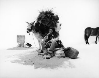 A thoughtful person sits on sand, surrounded by bags, next to a donkey heavily laden with bundles and branches. Debris like rocks and a wheel lie to the side. In the background, there's the back half of a horse. The arrangement suggests a sense of journey or migration, with a minimal and stark atmosphere.