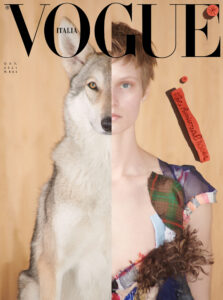 The visual features a striking composition with half of a wolf's face seamlessly merging with half of a woman's face. The woman's attire is eclectic, combining various patterns and colors. The contrasting elements highlight a theme of duality and transformation, with a neutral tan background that emphasizes the central fusion of animal and human features.