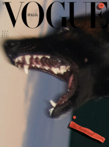 A dynamic, close-up view captures the profile of a dog with its mouth open, revealing sharp, prominent teeth. The focus is on the animal's fierce expression, set against a blurred background that highlights its dark fur and white teeth. The composition emphasizes intensity and motion, creating a dramatic and vivid portrayal of canine strength.