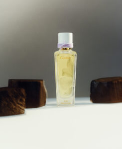 A tall, elegant glass container with a white cap stands upright. Inside, a pale yellow liquid is visible. A delicate purple string is wrapped around the neck. Surrounding the base are three pieces of dark, textured wood. The background features a smooth gradient transitioning from a soft gray to a lighter tone.