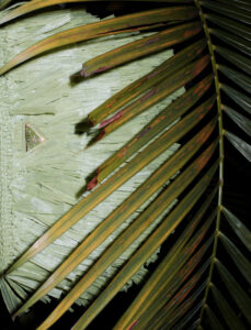 Amidst a backdrop of rich, woven textures, a green palm frond stretches diagonally. Its long, slender leaves display subtle hints of brown near the edges. The intricately crafted surface beneath, resembling straw, offers depth with its layered appearance. A small triangular metallic detail subtly gleams, adding a hint of sophistication to the natural theme.